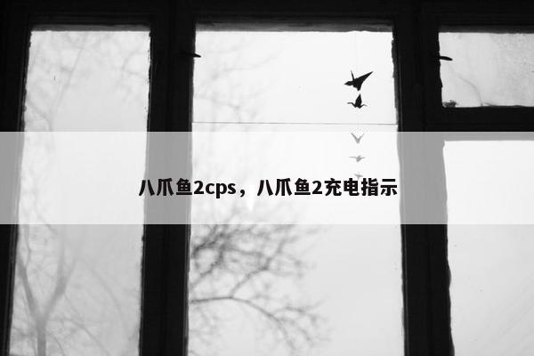 八爪鱼2cps，八爪鱼2充电指示