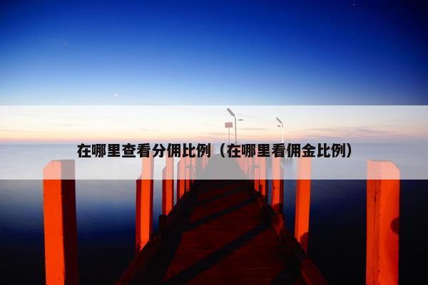 在哪里查看分佣比例（在哪里看佣金比例）