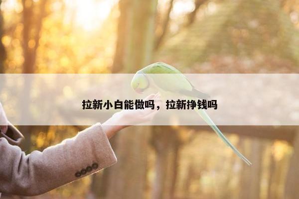 拉新小白能做吗，拉新挣钱吗