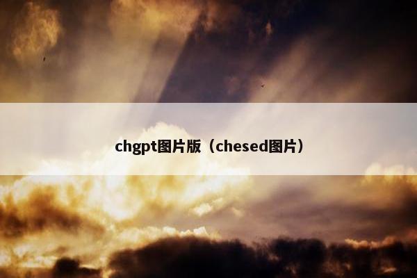 chgpt图片版（chesed图片）