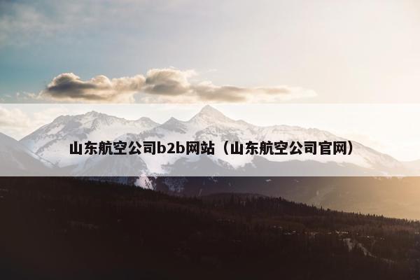 山东航空公司b2b网站（山东航空公司官网）