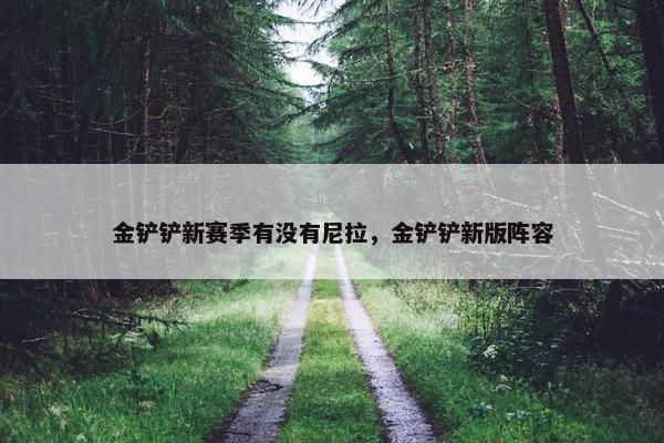 金铲铲新赛季有没有尼拉，金铲铲新版阵容