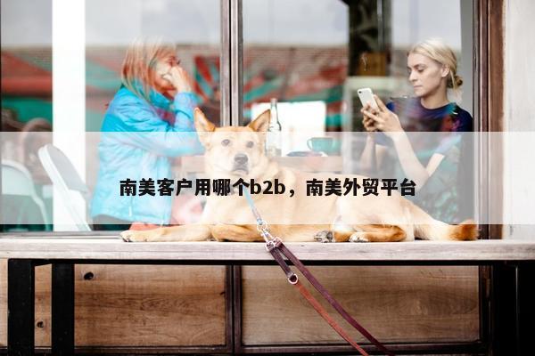 南美客户用哪个b2b，南美外贸平台