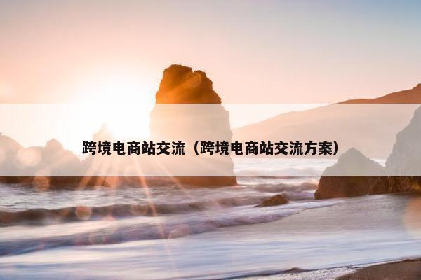 跨境电商站交流（跨境电商站交流方案）