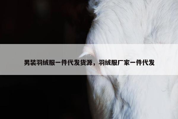 男装羽绒服一件代发货源，羽绒服厂家一件代发