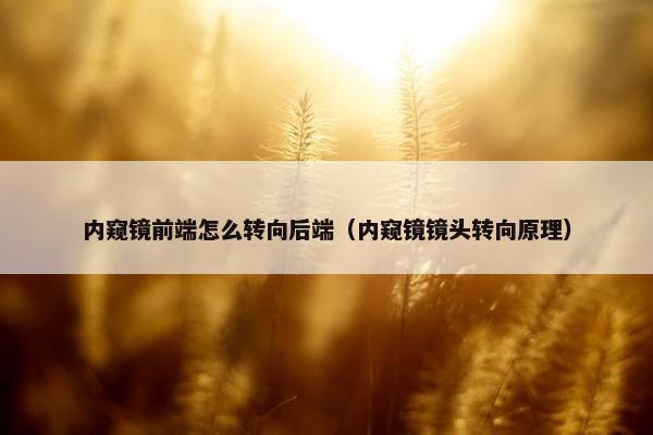 内窥镜前端怎么转向后端（内窥镜镜头转向原理）