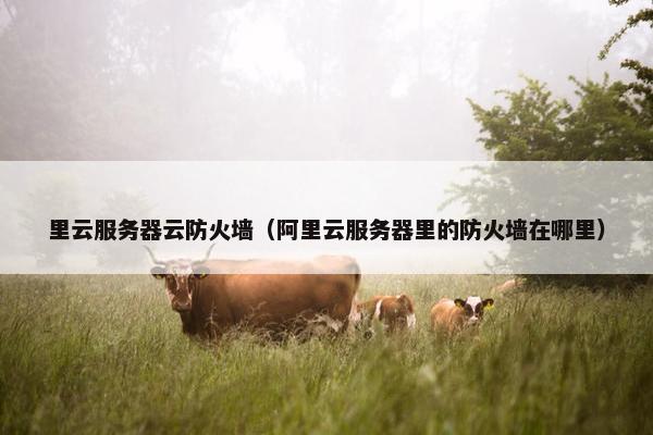 里云服务器云防火墙（阿里云服务器里的防火墙在哪里）
