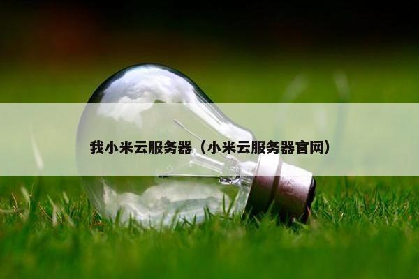 我小米云服务器（小米云服务器官网）