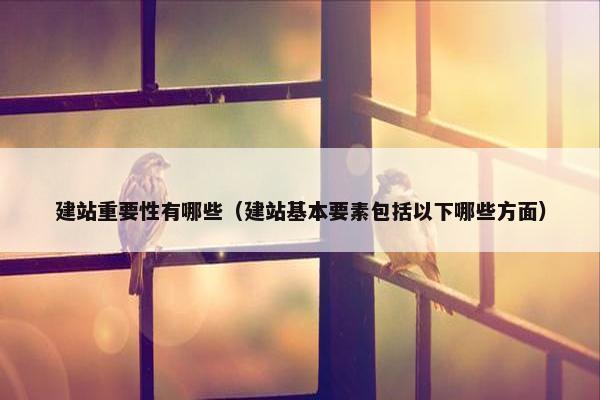 建站重要性有哪些（建站基本要素包括以下哪些方面）