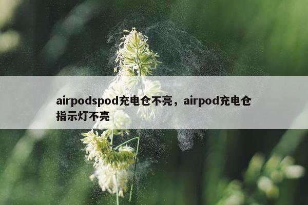 airpodspod充电仓不亮，airpod充电仓指示灯不亮