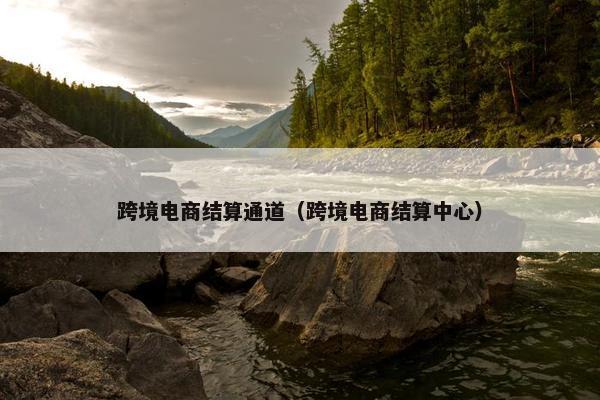 跨境电商结算通道（跨境电商结算中心）