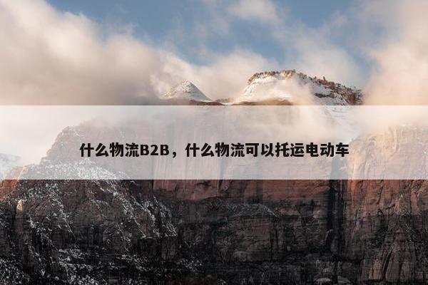 什么物流B2B，什么物流可以托运电动车