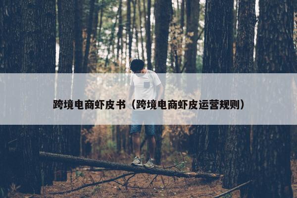 跨境电商虾皮书（跨境电商虾皮运营规则）