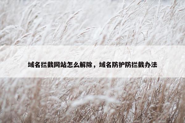 域名拦截网站怎么解除，域名防护防拦截办法