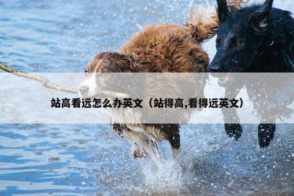 站高看远怎么办英文（站得高,看得远英文）