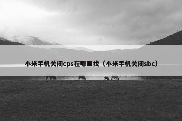 小米手机关闭cps在哪里找（小米手机关闭sbc）