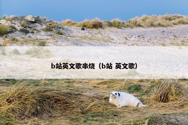 b站英文歌串烧（b站 英文歌）