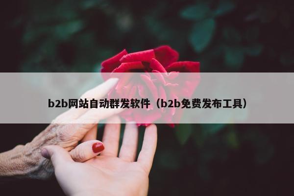b2b网站自动群发软件（b2b免费发布工具）