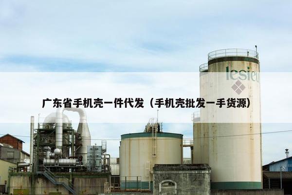 广东省手机壳一件代发（手机壳批发一手货源）