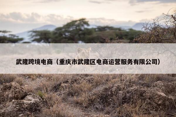 武隆跨境电商（重庆市武隆区电商运营服务有限公司）