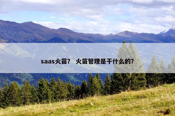 saas火苗？ 火苗管理是干什么的？