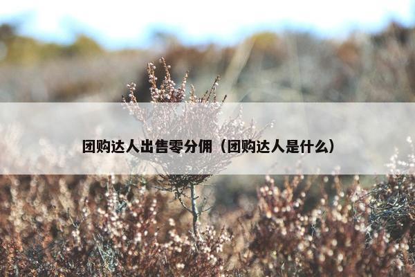 团购达人出售零分佣（团购达人是什么）