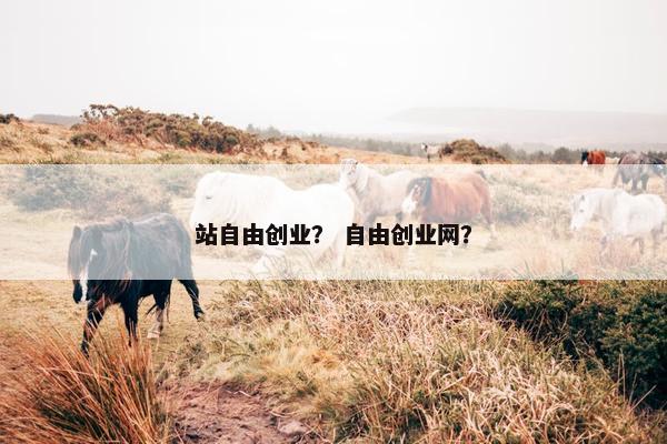 站自由创业？ 自由创业网？
