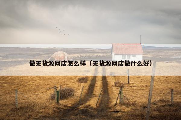 做无货源网店怎么样（无货源网店做什么好）