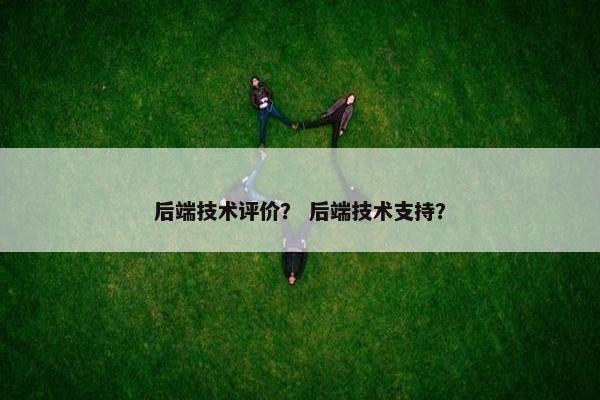 后端技术评价？ 后端技术支持？