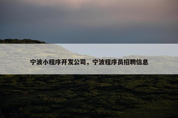宁波小程序开发公司，宁波程序员招聘信息