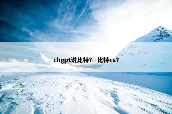 chgpt说比特？ 比特cs？