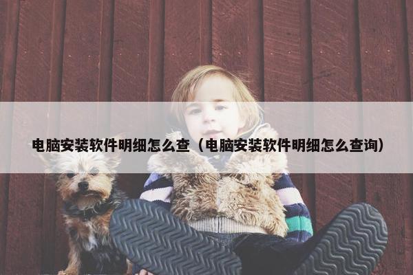 电脑安装软件明细怎么查（电脑安装软件明细怎么查询）