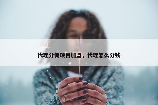 代理分佣项目加盟，代理怎么分钱