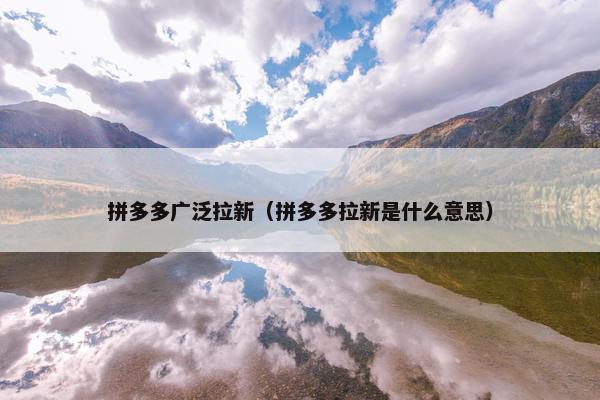拼多多广泛拉新（拼多多拉新是什么意思）