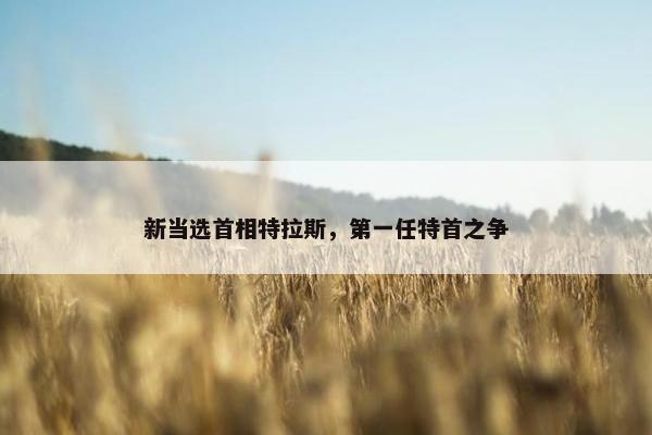 新当选首相特拉斯，第一任特首之争