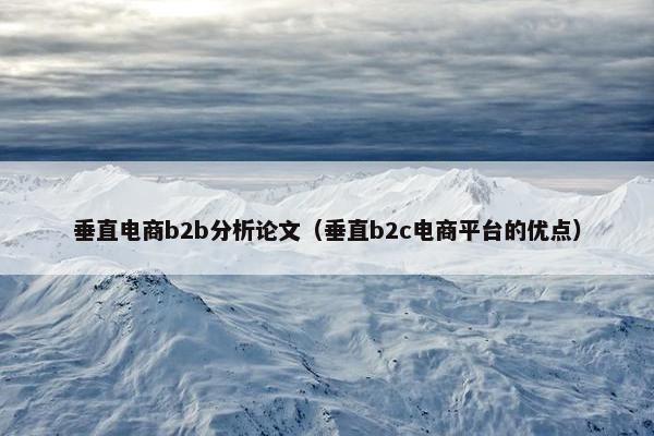 垂直电商b2b分析论文（垂直b2c电商平台的优点）