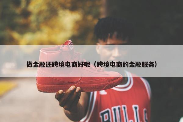 做金融还跨境电商好呢（跨境电商的金融服务）