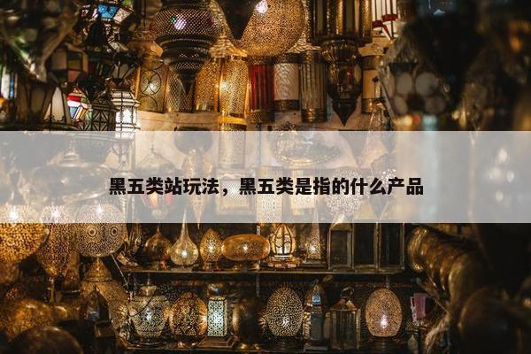 黑五类站玩法，黑五类是指的什么产品