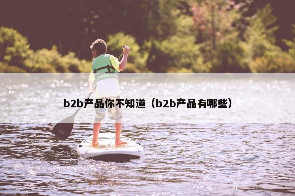 b2b产品你不知道（b2b产品有哪些）