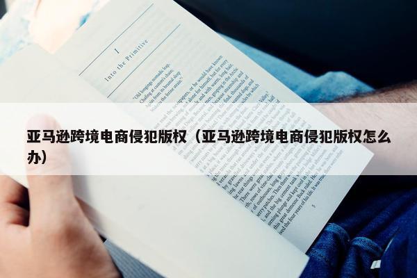亚马逊跨境电商侵犯版权（亚马逊跨境电商侵犯版权怎么办）
