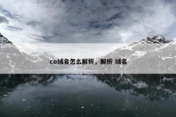 co域名怎么解析，解析 域名