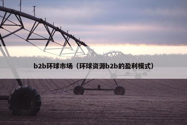 b2b环球市场（环球资源b2b的盈利模式）