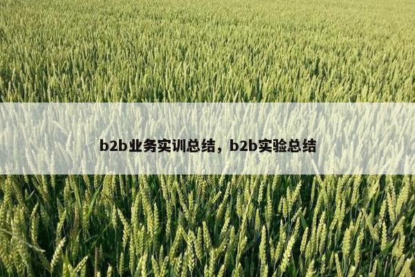 b2b业务实训总结，b2b实验总结