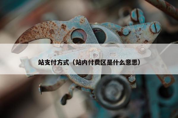 站支付方式（站内付费区是什么意思）