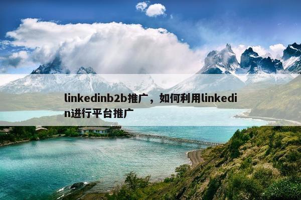 linkedinb2b推广，如何利用linkedin进行平台推广