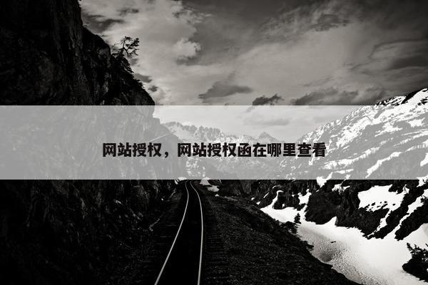 网站授权，网站授权函在哪里查看