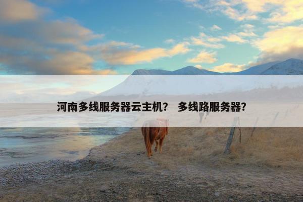 河南多线服务器云主机？ 多线路服务器？