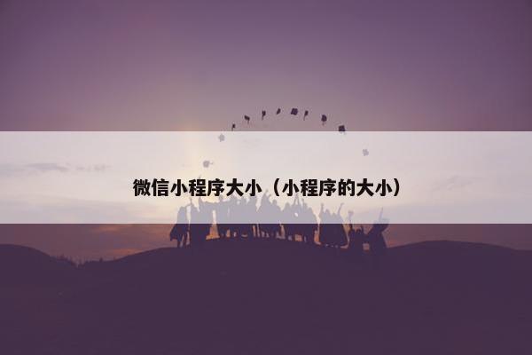 微信小程序大小（小程序的大小）
