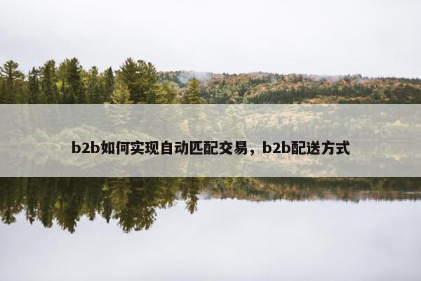 b2b如何实现自动匹配交易，b2b配送方式
