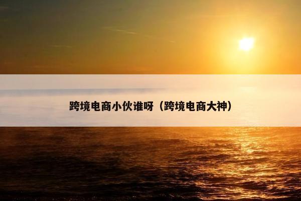 跨境电商小伙谁呀（跨境电商大神）